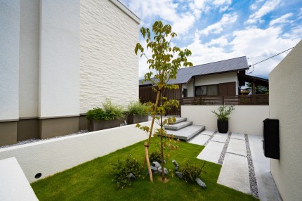 アプローチ横の芝生