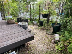 ナチュラルテラス